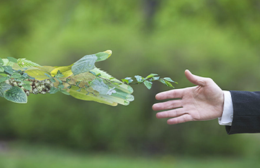 PROGETTO GOL-COMPETENZE GREEN